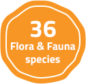 22 species